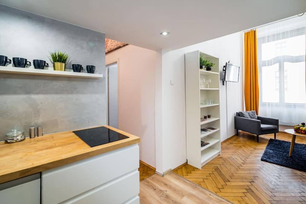 Royal City Apartment 40 M2 Krakow Dış mekan fotoğraf